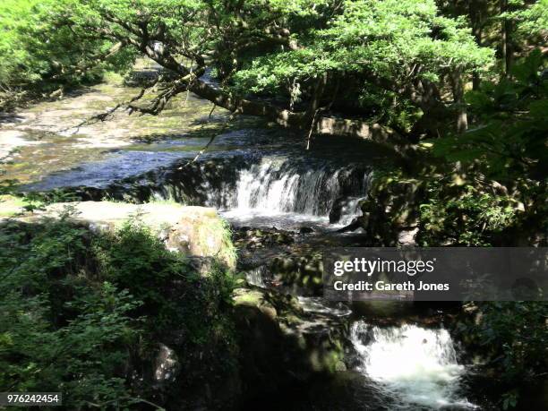 glyn-neath waterfalls - neath imagens e fotografias de stock