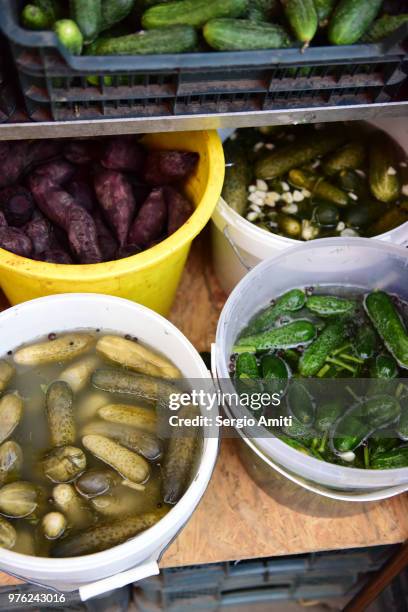 cucumber pickles - sergio amiti stock pictures, royalty-free photos & images