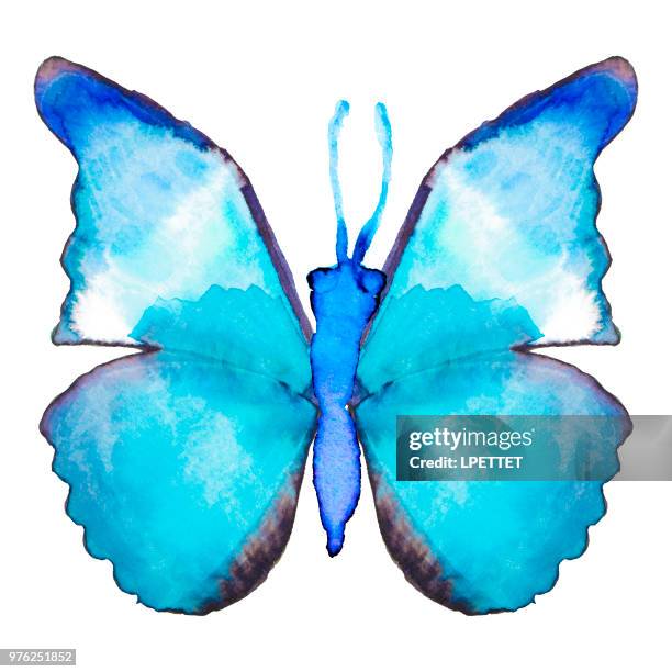 aquarell schmetterling - butterfly effect stock-grafiken, -clipart, -cartoons und -symbole