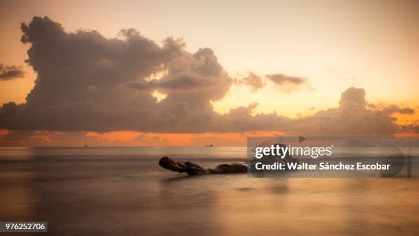 seascape at sunrise, boca del riot, veracruz, mexico - veracruz ストックフォトと画像