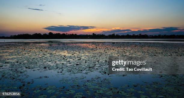 kununurra - kununurra stockfoto's en -beelden