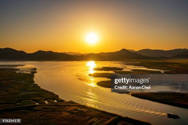 suncheon bay - suncheon stock pictures, royalty-free photos & images