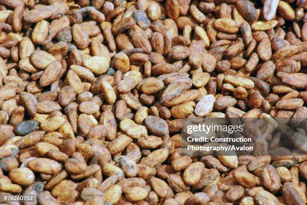 Cocoa Beans at the Cocoa Marketing Wharf at Takoradi Port on Thursday 6 June 1985.