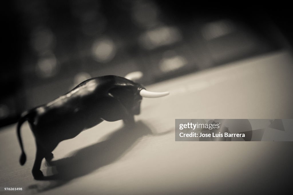 Torito Tech