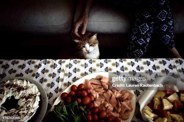 connoisseur - connoisseur stock pictures, royalty-free photos & images