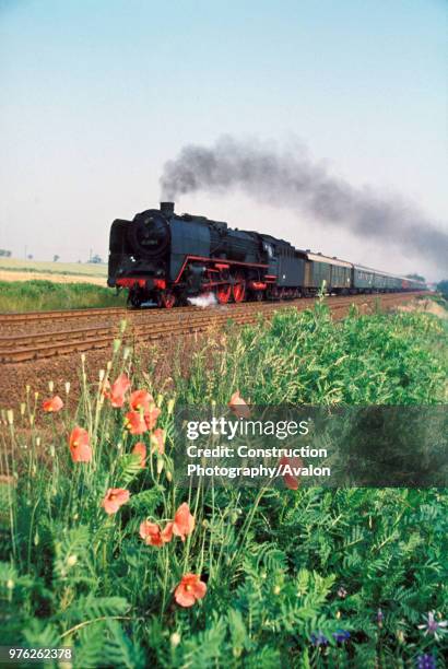 Europe's last high speed steam hauled expresses. German O1 Class Pacific No 2118 passes the poppy banks south of Grossenhain with the 06:37 express...