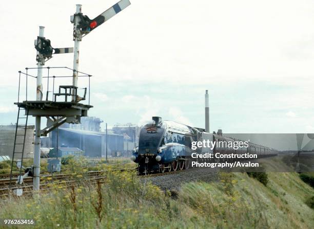 Mallard '88. No 4468 'Mallard' leaves Hartlepool en route from Eaglescliffe to Newcastle. 27th August 1988, United Kingdom.
