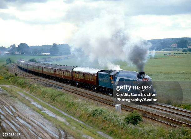 Mallard '88. No 4468 'Mallard' leaves Malton en route from York to Scarborough. 9.7.88, United Kingdom.