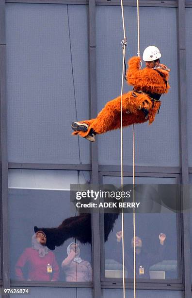 Employees watch as an Indonesian Greenpeace activist absiels in a furry orangutan suit to help hang a giant protest banner on the side of the...