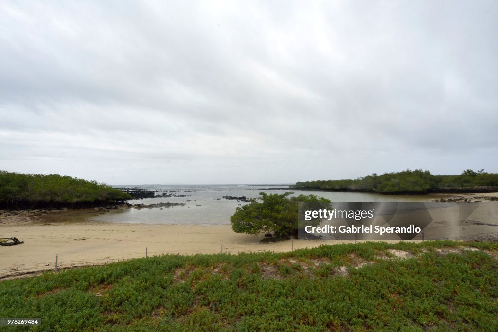 Playa de los Alemanes, Galapagos