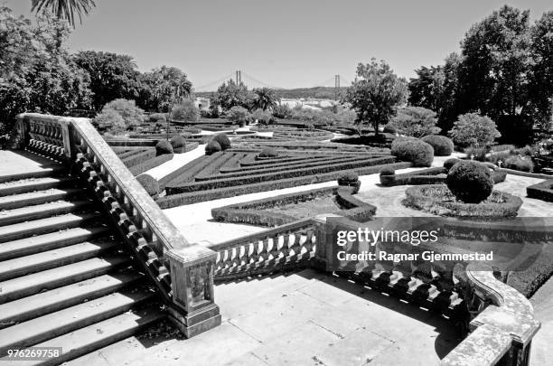 jardim botanico da ajuda in black and white - ajuda stock pictures, royalty-free photos & images