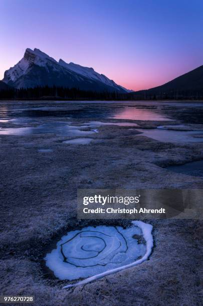 mt. rundle and frozen puddle, banff, alberta, canada - monte rundle - fotografias e filmes do acervo