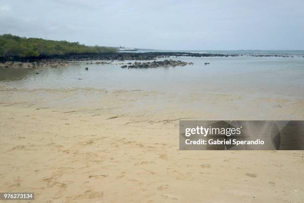 playa de los alemanes, galapagos - puerto ayora stock pictures, royalty-free photos & images