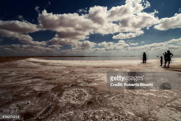 salt lake tunis - binetti stock pictures, royalty-free photos & images