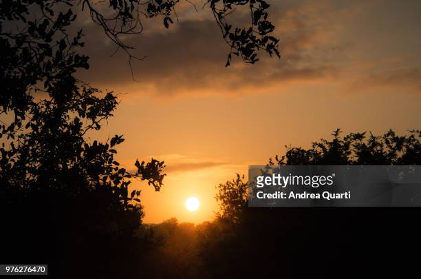 goodbye sun - tre quarti stock pictures, royalty-free photos & images