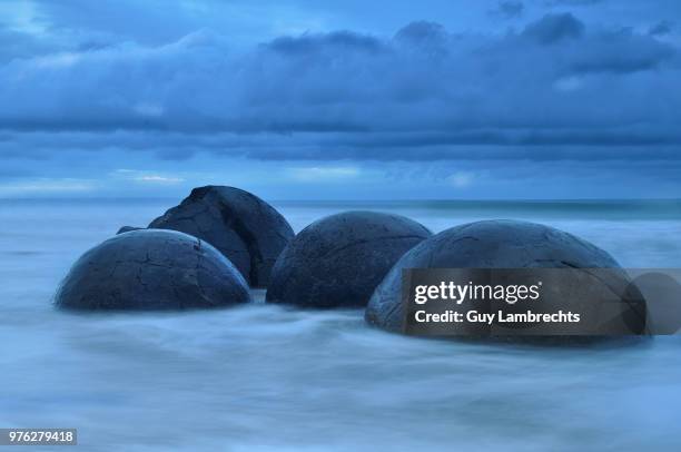 moeraki bleu - bleu marine stock pictures, royalty-free photos & images