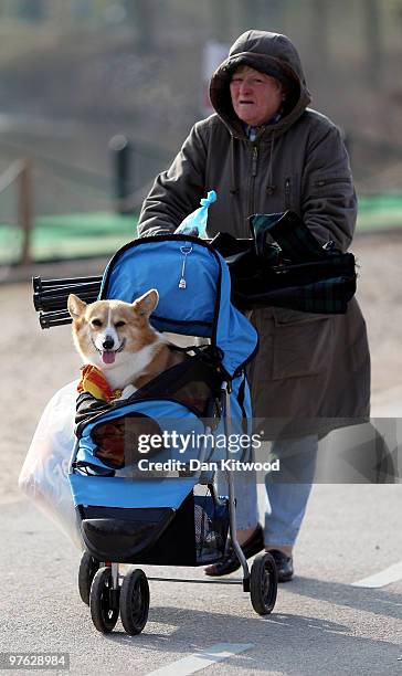 Dogs and their owners arrive for the first day of the annual Crufts dog show at the National Exhibition Centre on March 11, 2010 in Birmingham,...