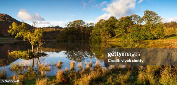 rydal water - rydal stock pictures, royalty-free photos & images