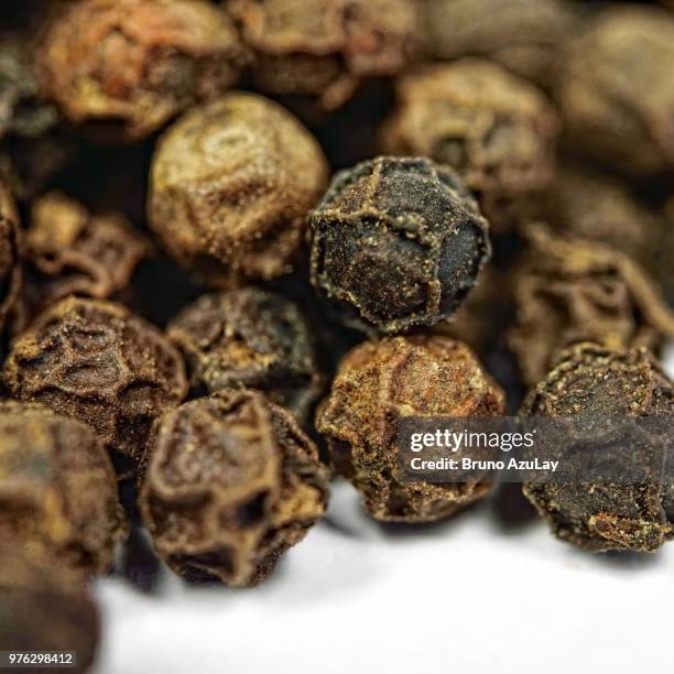 tellicherry black pepper - black pepper stock pictures, royalty-free photos & images