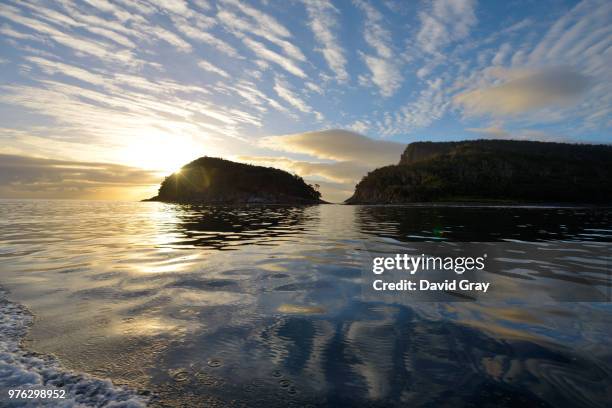 sunrise over penguin island, australia - penguin island imagens e fotografias de stock