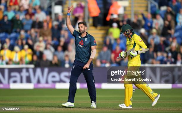Liam Plunkett of England celebrates dismissing Jhye Richardson of Australia to win the 2nd Royal London ODI between England and Australia at SWALEC...