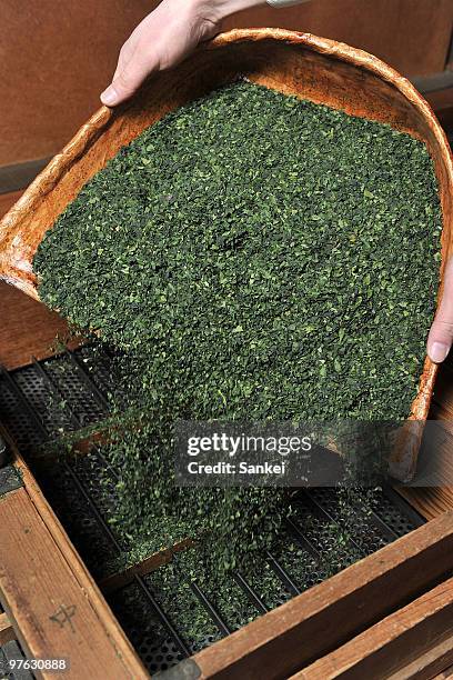 Tea leaves are cut in the Japanese tea factory "Tsujirihei Honten" on February 18, 2010 in Uji, Kyoto, Japan. Tsujirihei, long established tea...