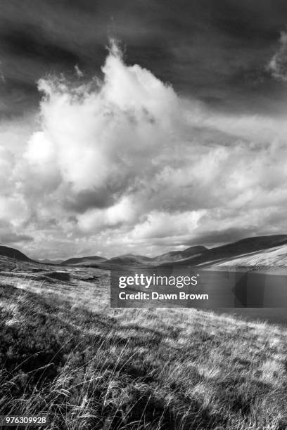 Untitled High-Res Stock Photo