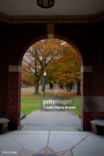 the journey - brown university 個照片及圖片檔