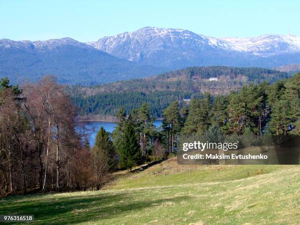 norwegian mountains - evtushenko stock pictures, royalty-free photos & images