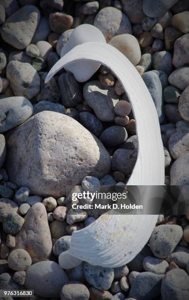 half moon - half moon position stock pictures, royalty-free photos & images