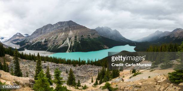 cloudy peyto - viaggio stock pictures, royalty-free photos & images