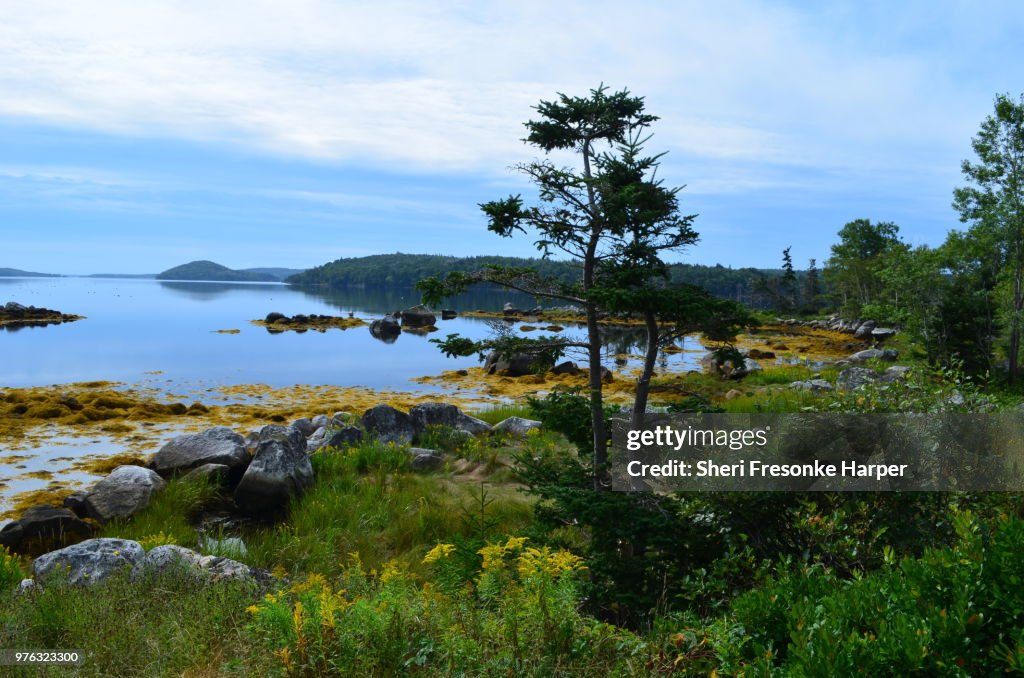Taylor Park Drive of Taylor Head Provincial Park, Sheet Harbor, Nova Scotia