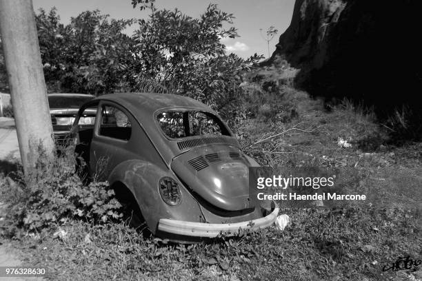 fusca - fusca stock pictures, royalty-free photos & images