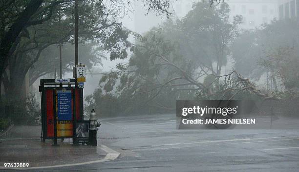 Downed trees block Poydras avenue near St. Charles avenue in downtown New Orleans, Louisiana as Hurricane Katrina makes landfall 29 August 2005....