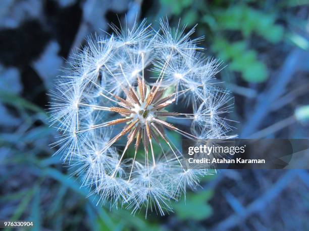 photo by: atahan karaman - karaman stockfoto's en -beelden