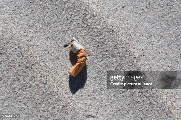 June 2018, Germany, Glowe: A cigarette butt lying on the Baltic Sea beach on the island of Ruegen. Trash, especially from shipping, tourism and...