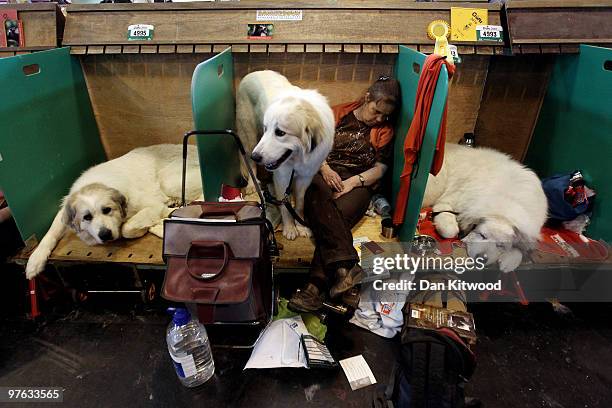 Woman sleeps with her dogs while waiting by the practice arena on day one of the annual Crufts dog show at the National Exhibition Centre on March...