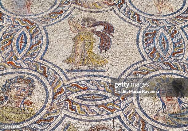 roman mosaic at volubilis (morocco) - volubilis stock pictures, royalty-free photos & images