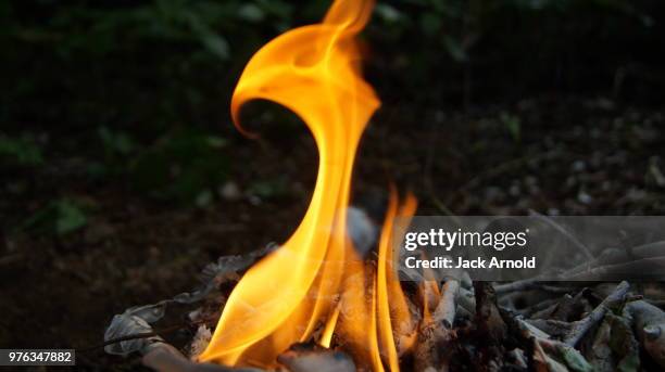 the perfect flame - jack burns 個照片及圖片檔