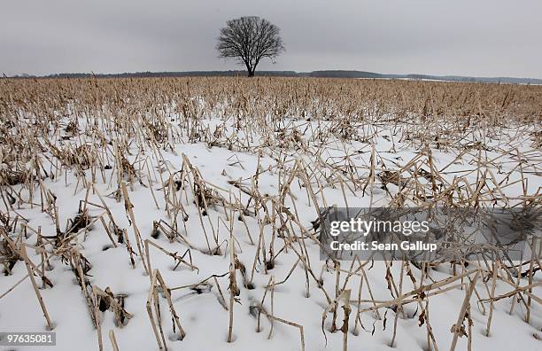 Snow covers a frozen field on March 11, 2010 near Wolfsburg, Germany. Temperatures in Germany remain below zero in what is the country's most bitter...