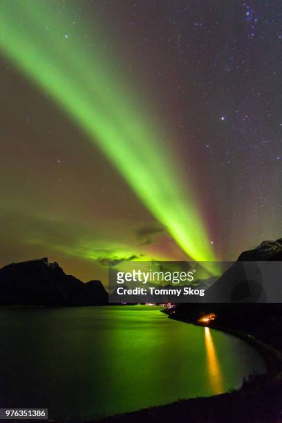aurora borealis on sky, luroy, norway - skog foto e immagini stock