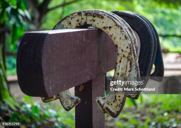 horseshoes - schottland stock pictures, royalty-free photos & images