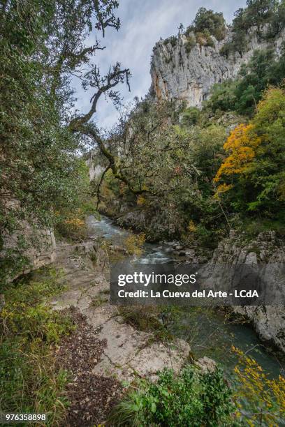 lumbier,spain - del arte stock pictures, royalty-free photos & images