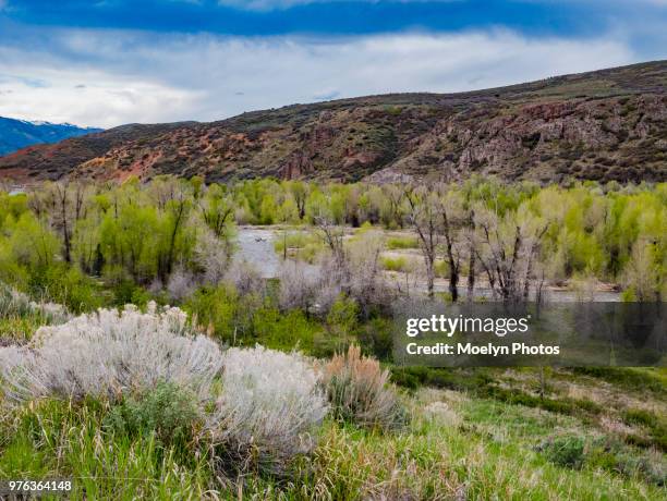 Wasatch Rivers 200 Wasatch County Stock Photos, High-Res Pictures, and Images - Getty ...