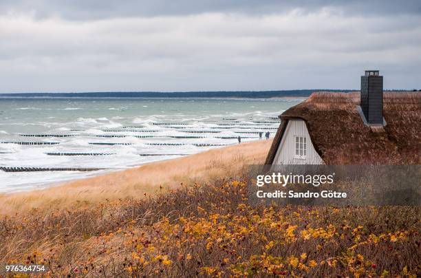 autumn at the beach - thatched roof stock-fotos und bilder