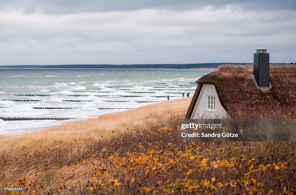 Autumn at the beach
