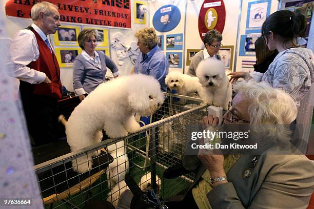 Woman eats her lunch while looking at some of the many breeds of dog on day one of the annual Crufts dog show at the National Exhibition Centre on...