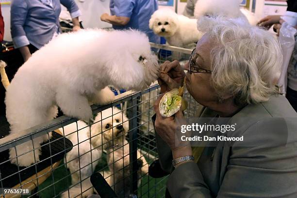 Woman feads some of her lunch to a dog while looking at some of the many breeds of dog on day one of the annual Crufts dog show at the National...