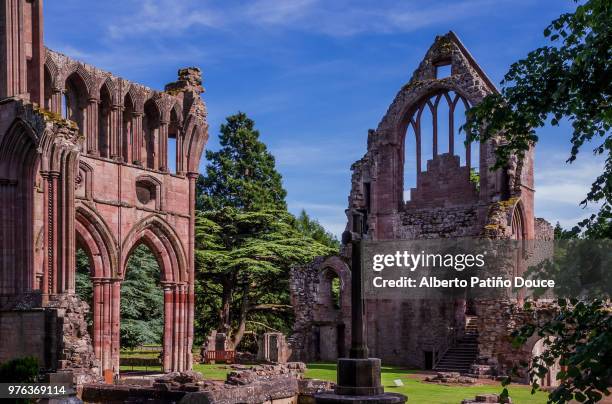 dryburgh abbey, scottish borders - dryburgh stock pictures, royalty-free photos & images