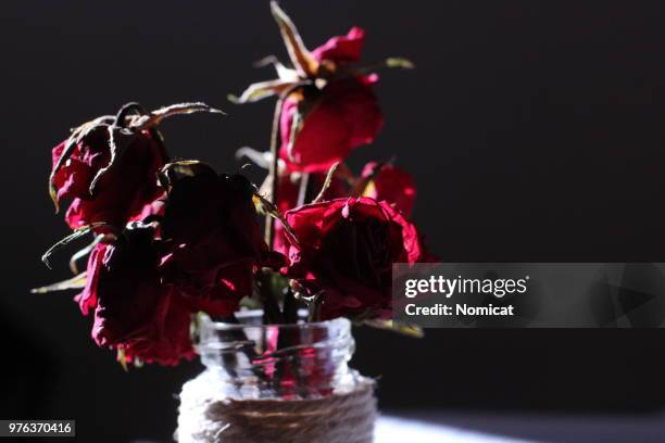 rose - poppies in vase stock pictures, royalty-free photos & images